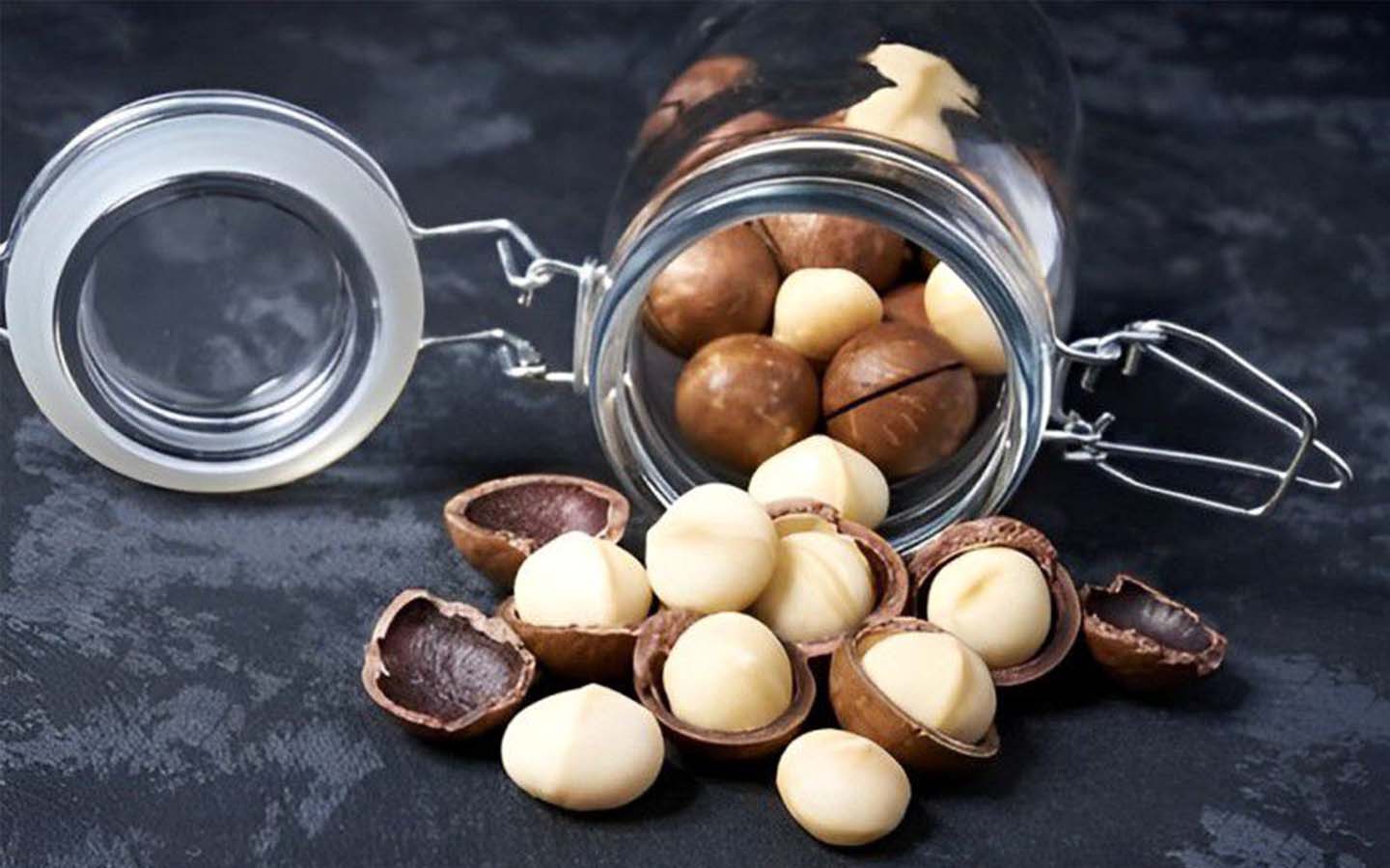 hạt macca tươi tây nguyên