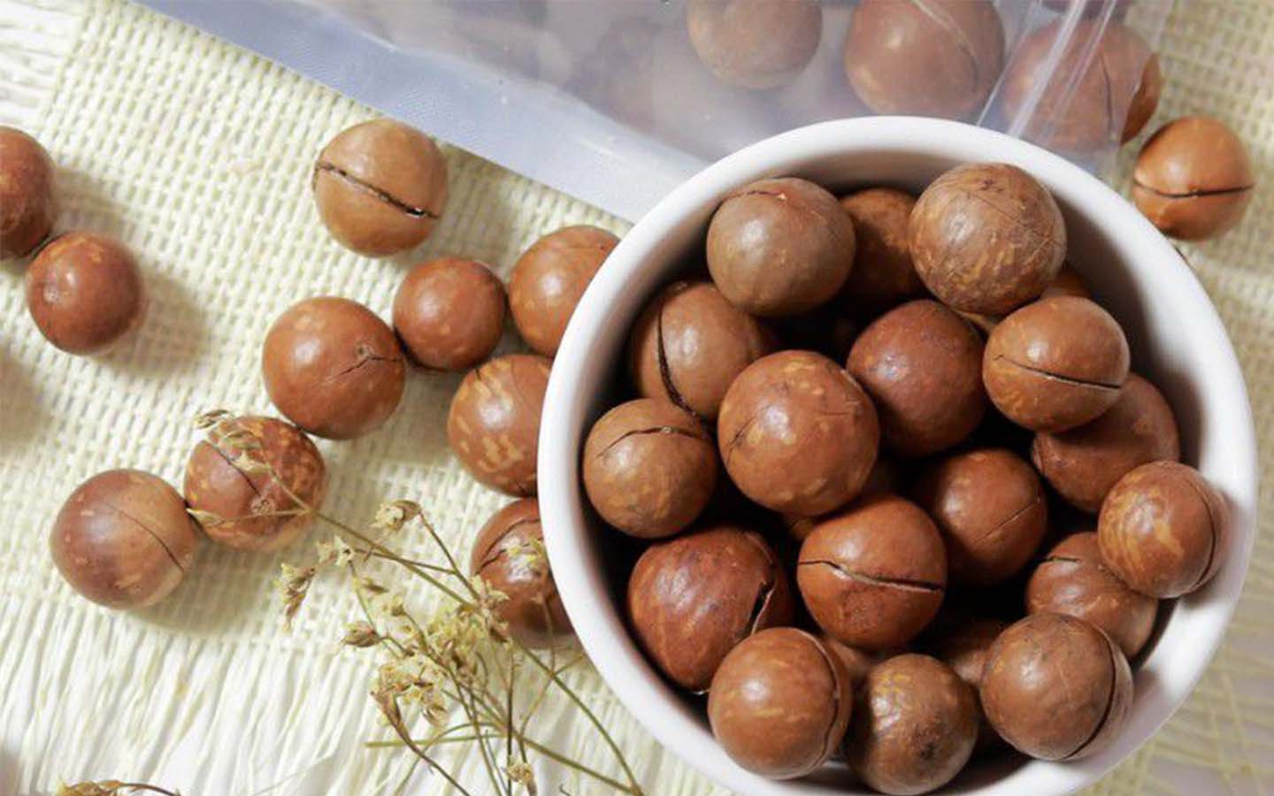 cách bảo quản hạt macca nhập khẩu