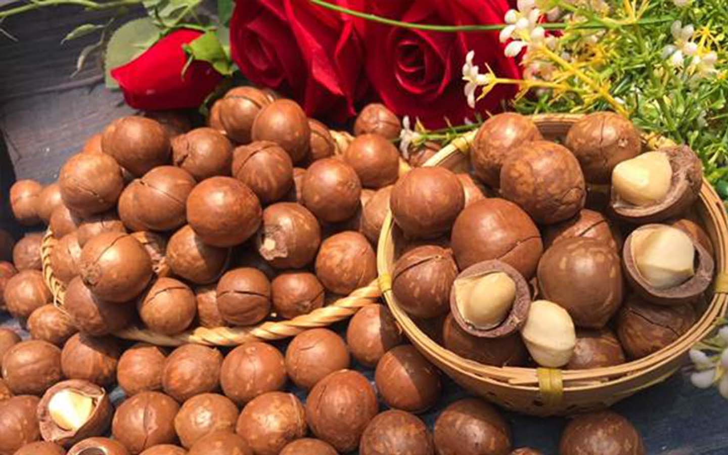 phân biệt hạt macca trung quốc