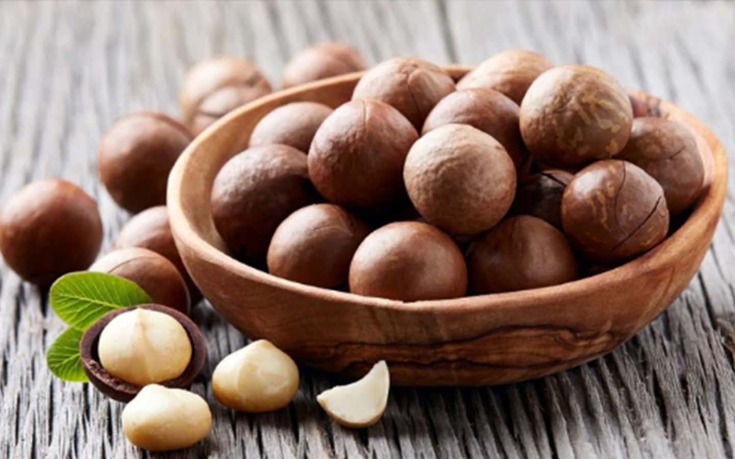 hạt macca tươi là gì