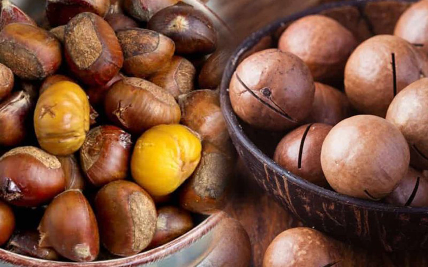 hạt macca và hạt dẻ