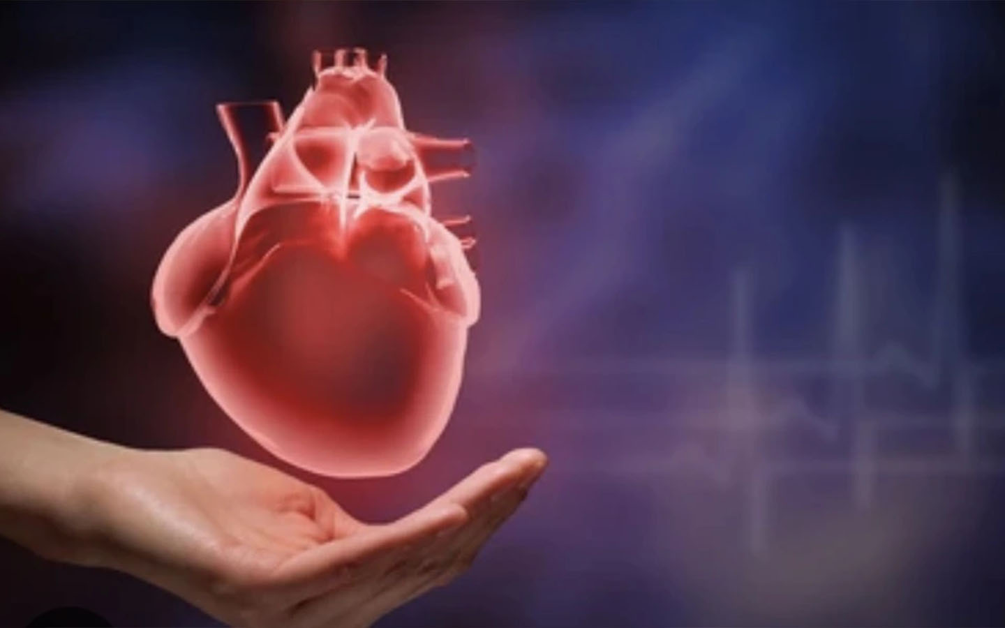 hạt điều và macca