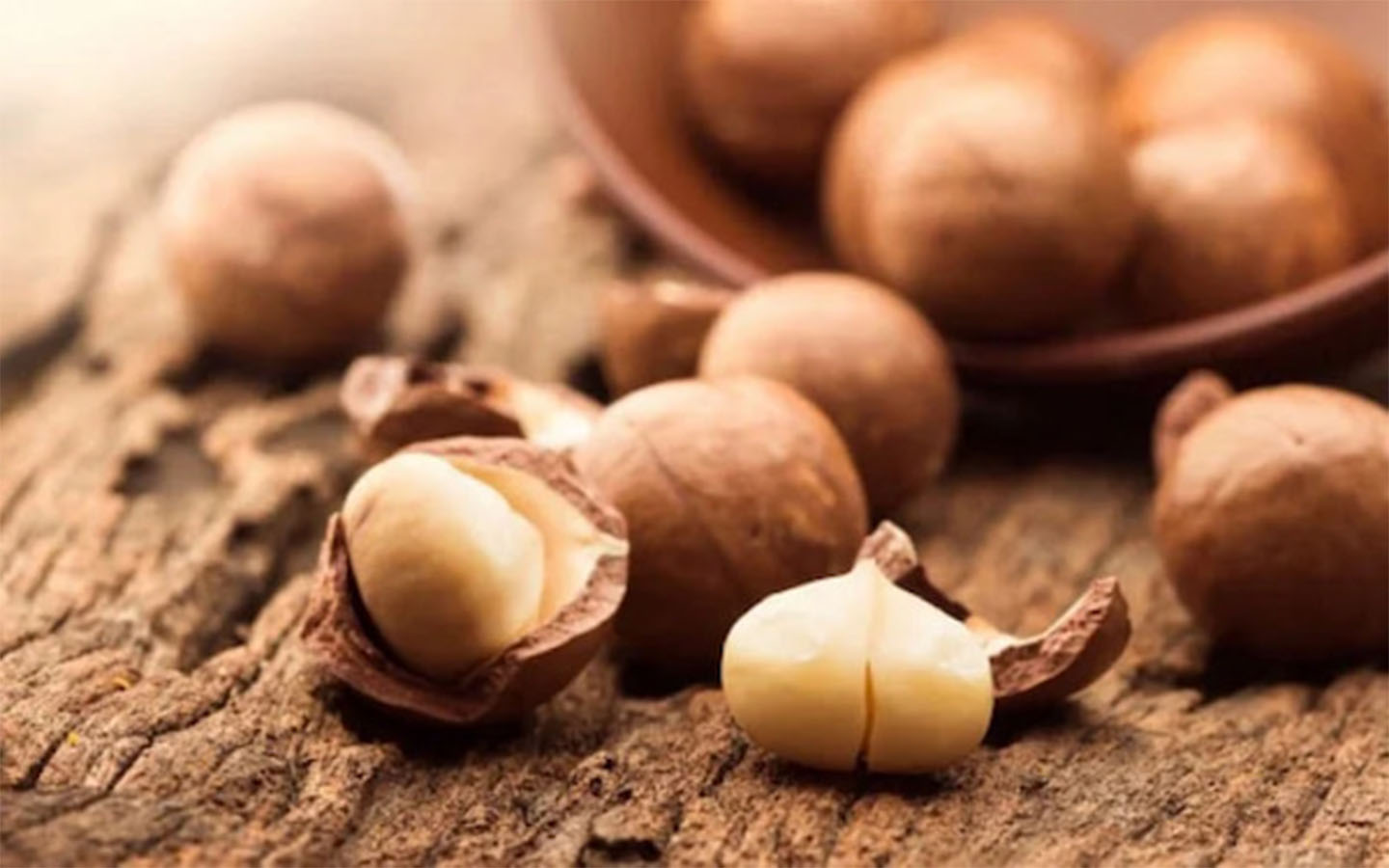 giá hạt macca sỉ tại sài gòn