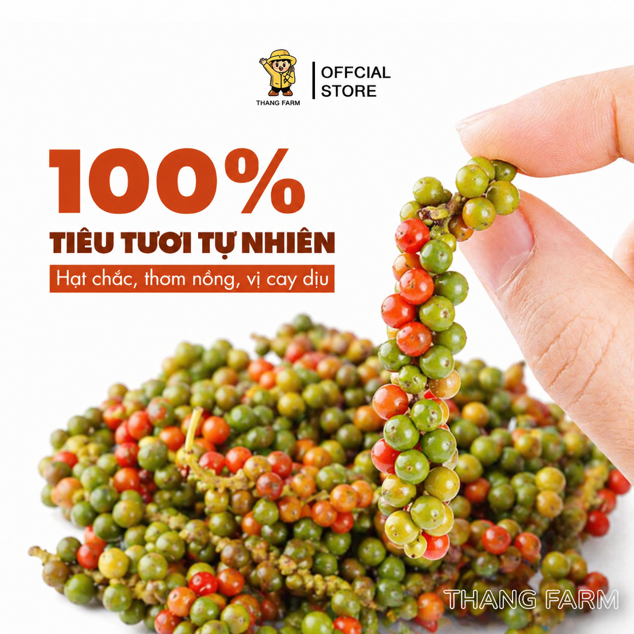 Hạt Tiêu Đen Đắk Lắk Nhà Tự Trồng, Thơm Cay Tự Nhiên - Hình ảnh 3