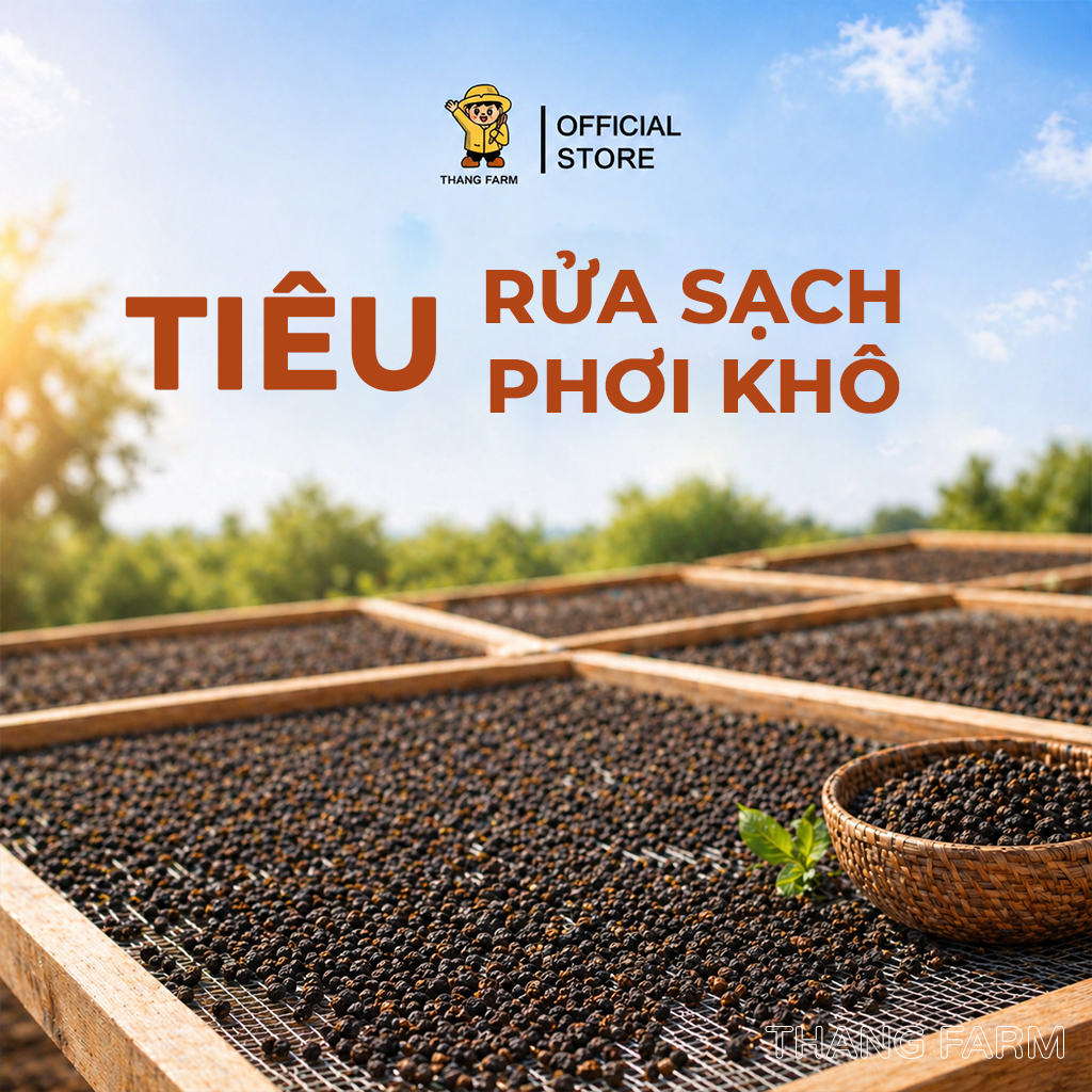 Hạt Tiêu Đen Đắk Lắk Nhà Tự Trồng, Thơm Cay Tự Nhiên - Hình ảnh 5