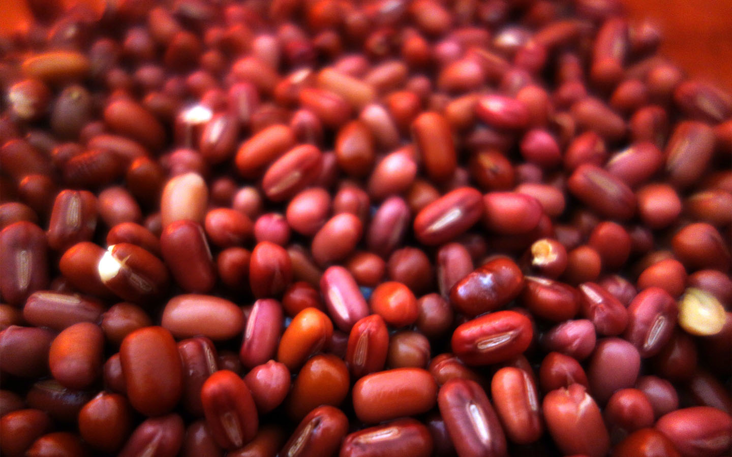 hướng dẫn cách làm sữa hạt điều đậu đỏ