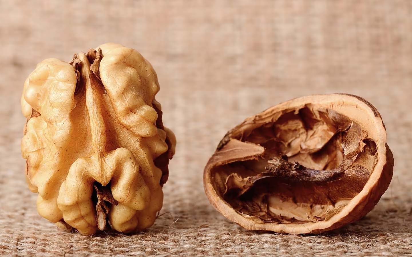 cách làm sữa hạt điều óc chó vani