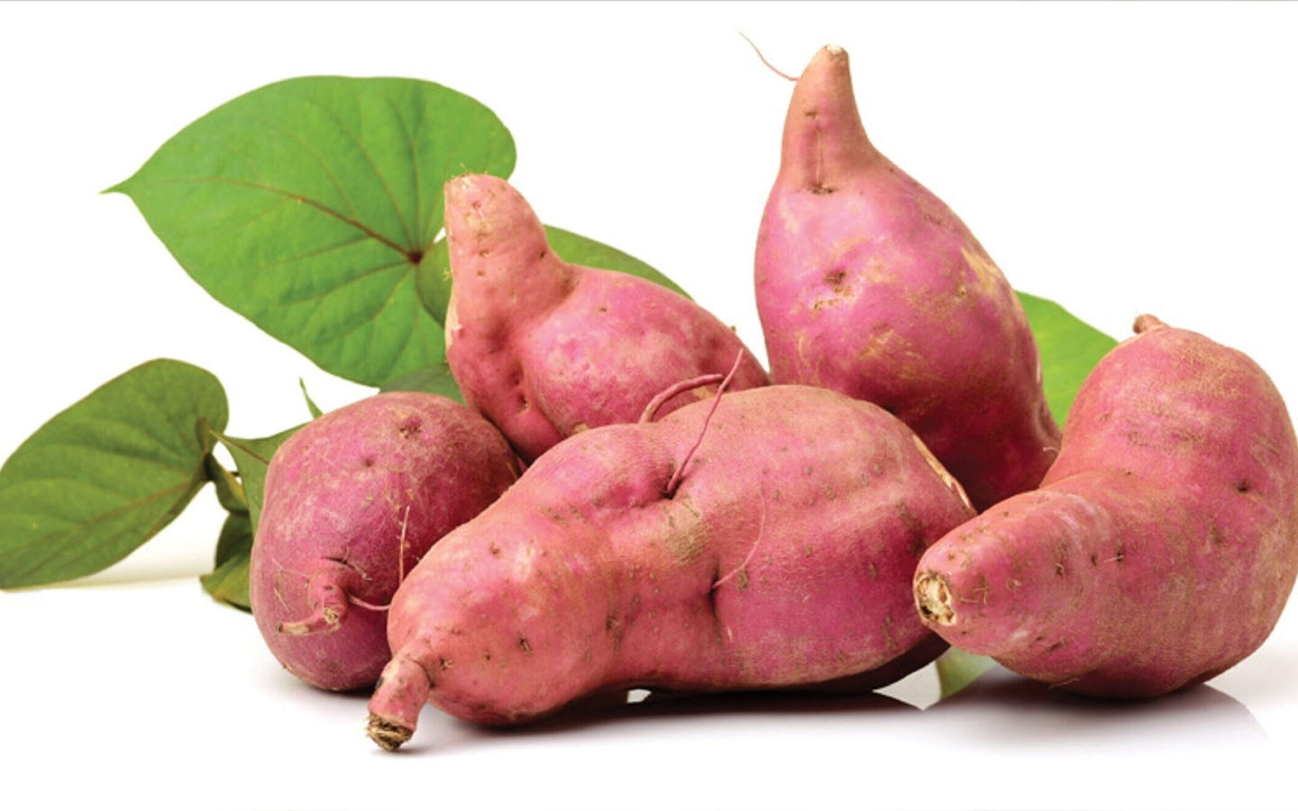 sữa hạt điều khoai lang