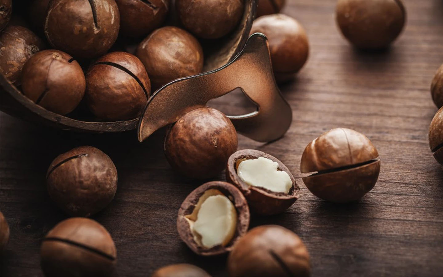 Cách Bảo Quản Hạt Macca