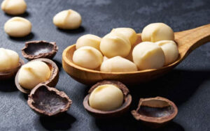 Hạt Macca Đắk Lắk Giá Sỉ