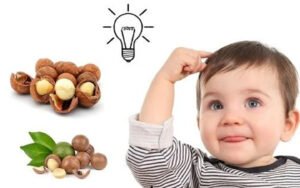 Tác dụng của hạt macca đối với trẻ em