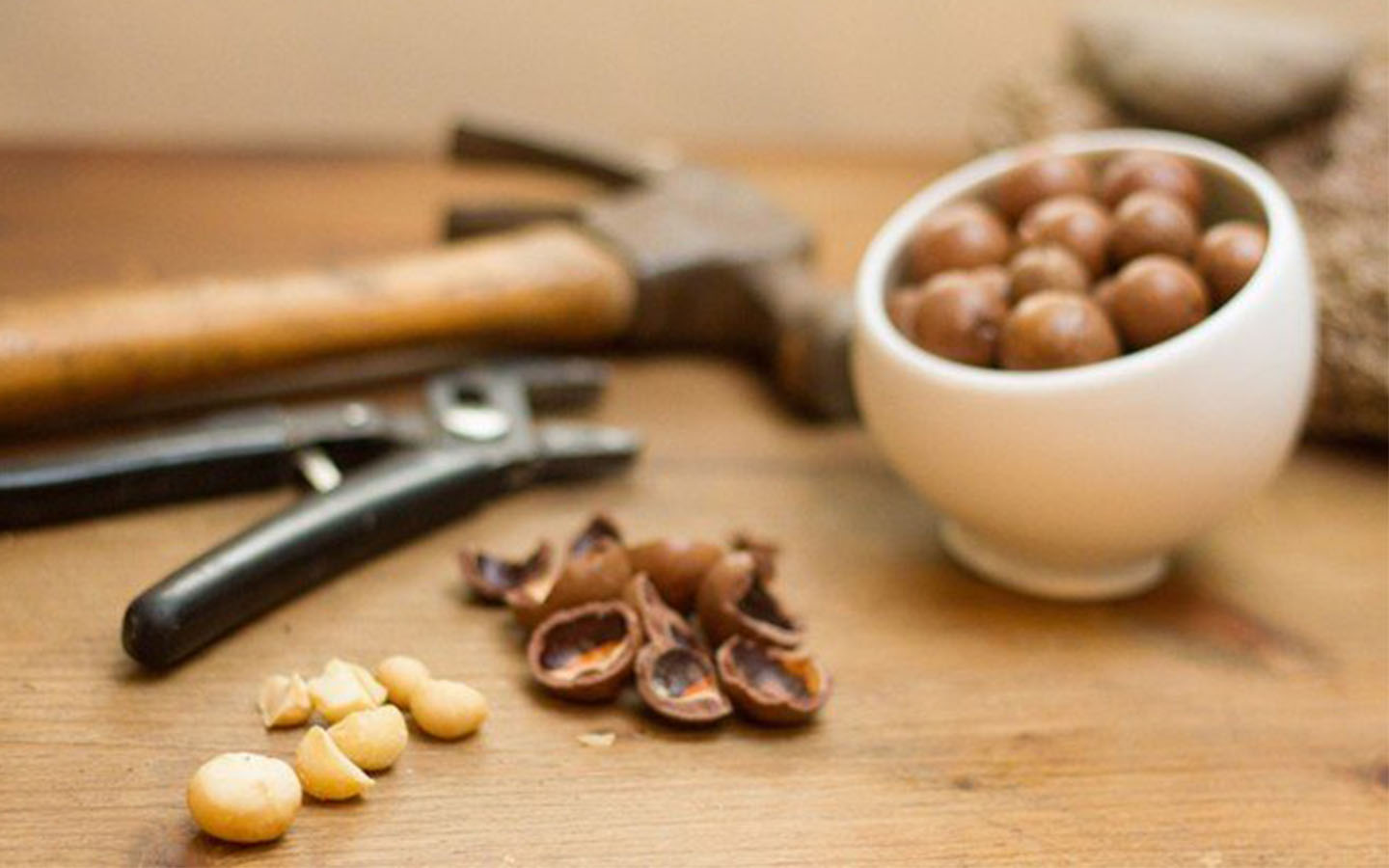 Cách xử lý hạt macca bị hôi dầu