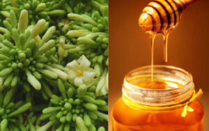 tác hại của hoa đu đủ đực ngâm mật ong