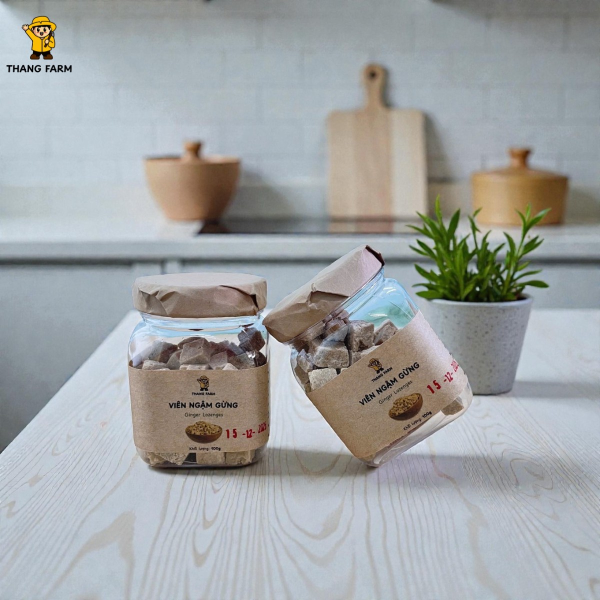 Viên Ngậm Gừng – Ấm Nồng Tự Nhiên, Bảo Vệ Sức Khỏe Mỗi Ngày - Hình ảnh 3