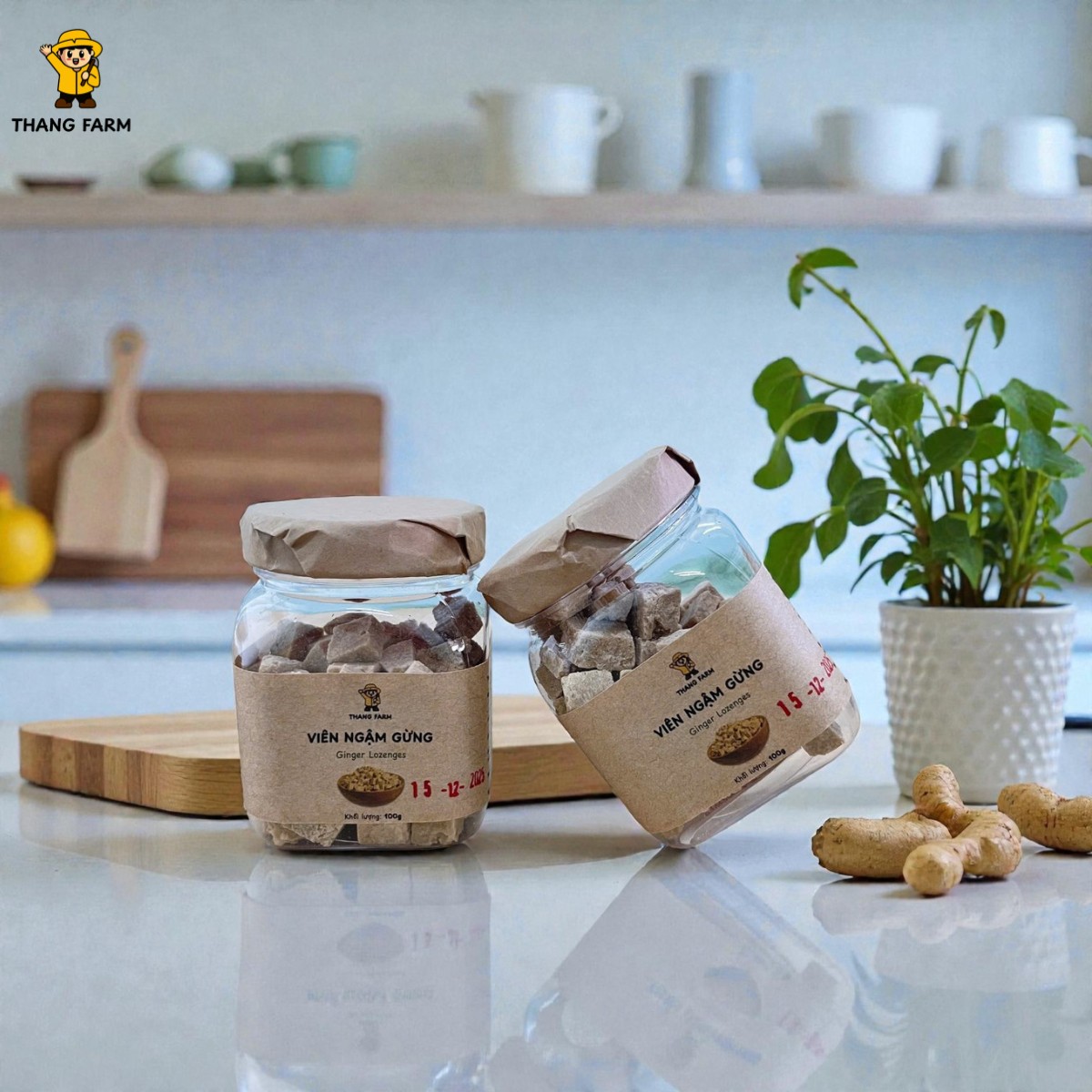 Viên Ngậm Gừng – Ấm Nồng Tự Nhiên, Bảo Vệ Sức Khỏe Mỗi Ngày